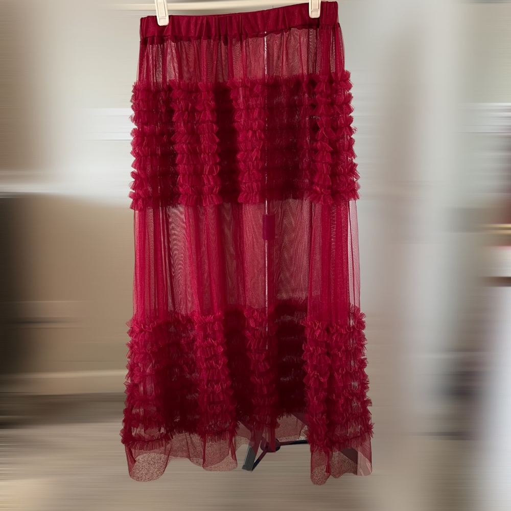 NWT Zara Maxi Mesh skirt